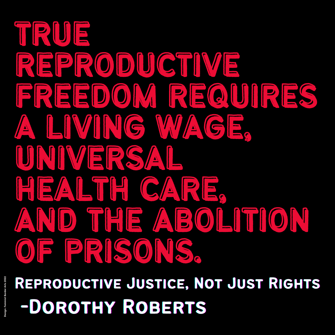 A black background with red letters and a quote from Dorothy Roberts saying other social ills must be dealt with to achieve reproductive justive.